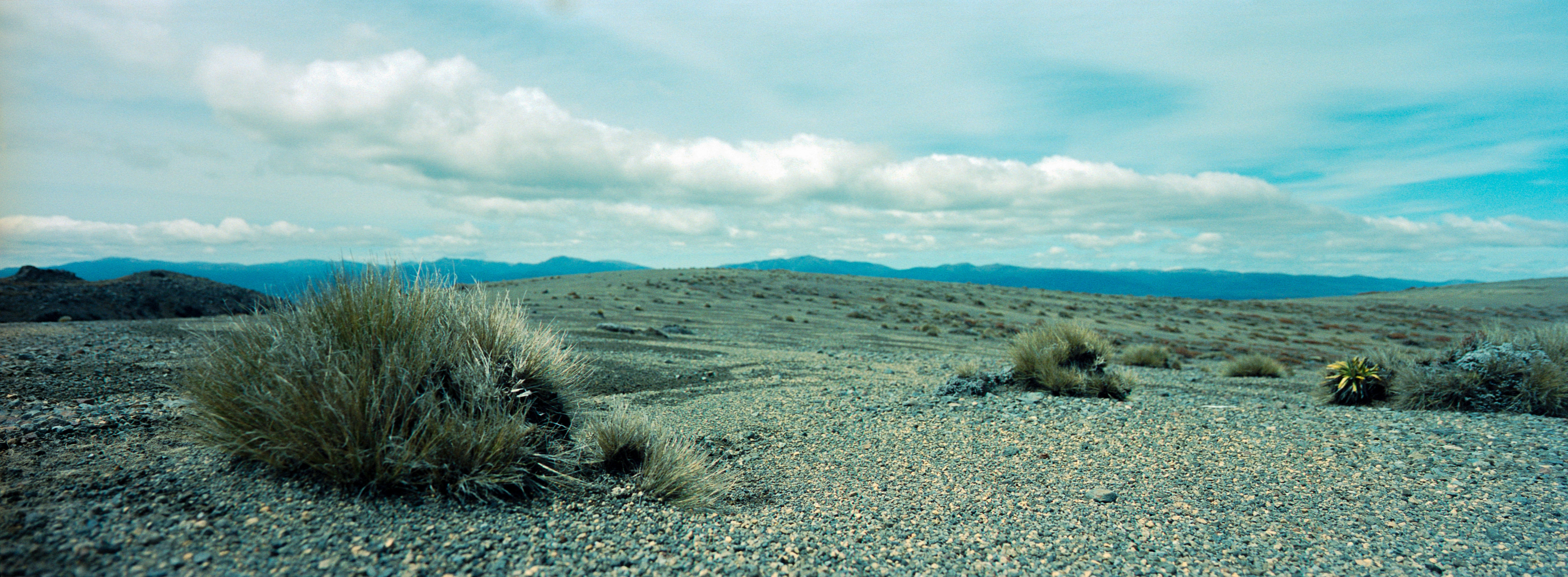 Desert, Tongariro National Park, Ruapehu District, North Island